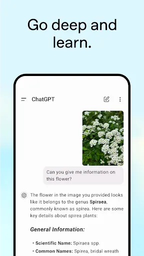 ChatGPT-screenshots-4
